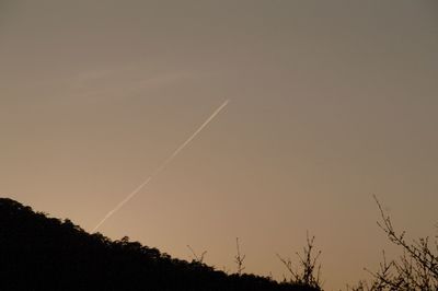 Low angle view of trees against sky