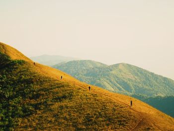 Scenic view of landscape against clear sky