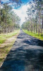 Country road along landscape