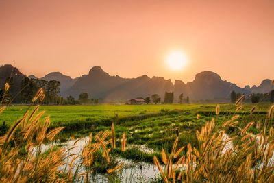 Scenic view of field against sky during sunset