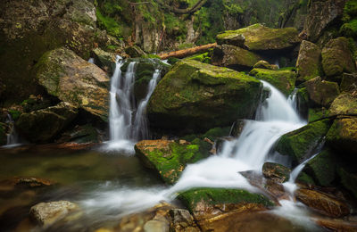 Scenic view of waterfall in forest in retezat mountains 