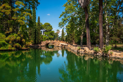 Scenic view of lake by trees against sky