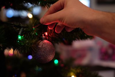 Close-up of christmas lights hanging on tree