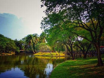 Scenic view of lake by trees against sky