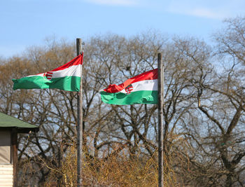 Low angle view of flags against bare trees