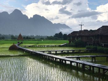 Scenic view of agricultural field against cloudy sky