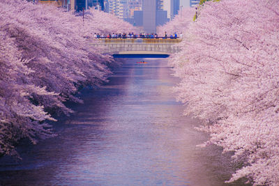 Bridge over river