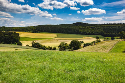 Scenic view of golf course against sky