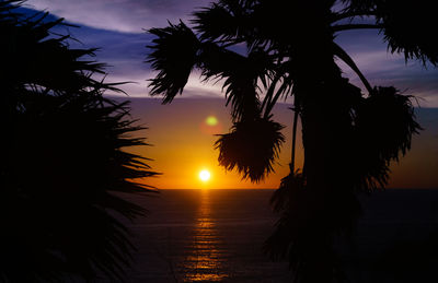 Silhouette palm trees against sky during sunset