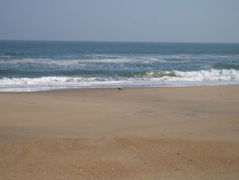 Scenic view of beach against clear sky