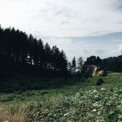 Scenic view of field against cloudy sky