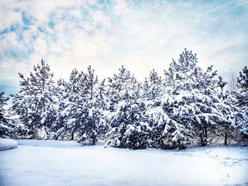 Snow covered trees on landscape against sky