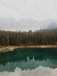 Reflection of trees in lake against sky