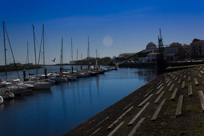 Sailboats moored at harbor