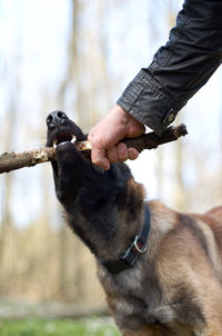 Low section of man with dog