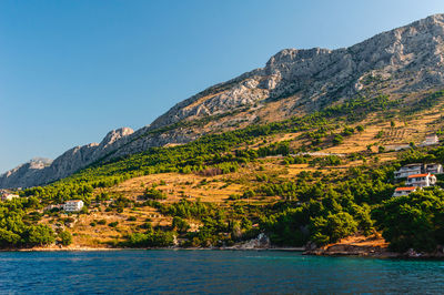 Scenic view of trees by mountains against clear blue sky