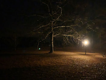 Illuminated street light on field at night