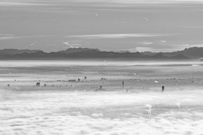 Group of people on beach