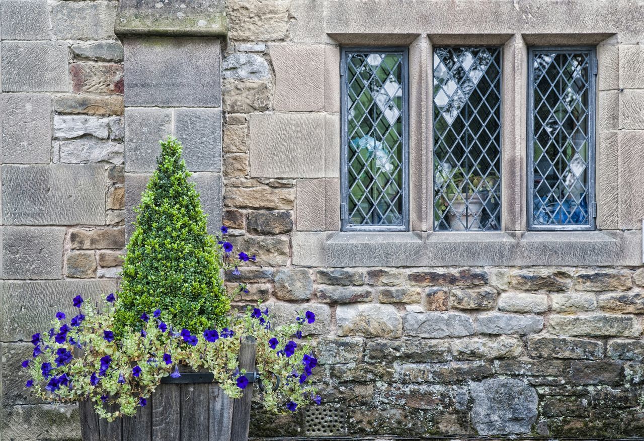 flower, building exterior, built structure, architecture, plant, window, growth, fragility, freshness, house, potted plant, brick wall, wall - building feature, blooming, day, closed, door, flower pot, outdoors, ivy