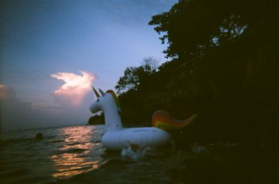 Swans swimming in sea against sky