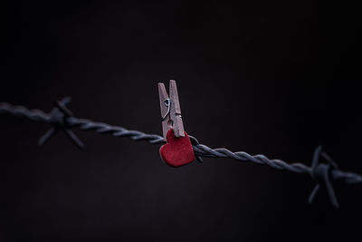 Close-up of barbed wire