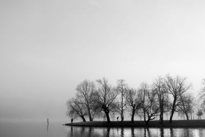 Bare trees by sea against clear sky