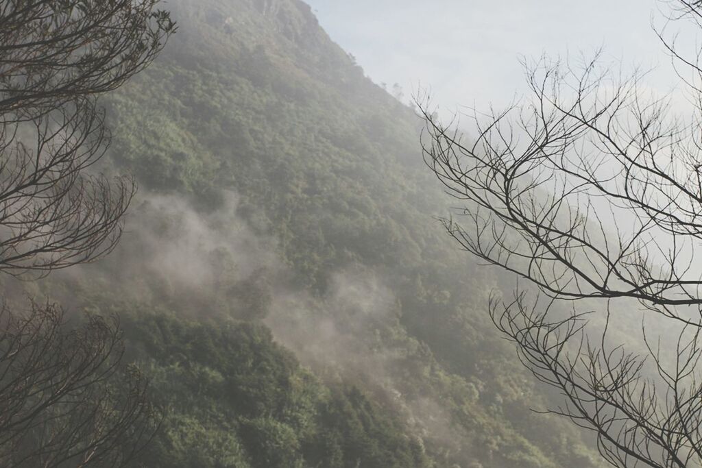 tranquility, tranquil scene, tree, scenics, beauty in nature, sky, mountain, bare tree, nature, branch, fog, cloud - sky, non-urban scene, idyllic, landscape, mountain range, weather, day, outdoors, no people