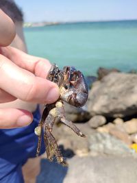 Midsection of person holding a sea