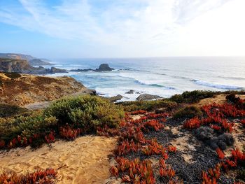 Scenic view of sea against sky