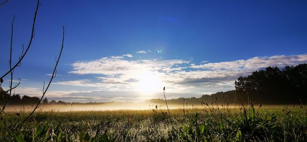 Scenic view of field against sky during sunset