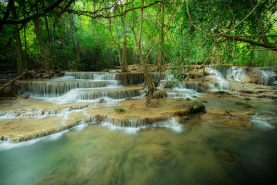 Scenic view of waterfall in forest