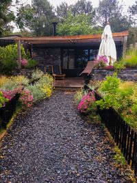 View of flowering plants in garden