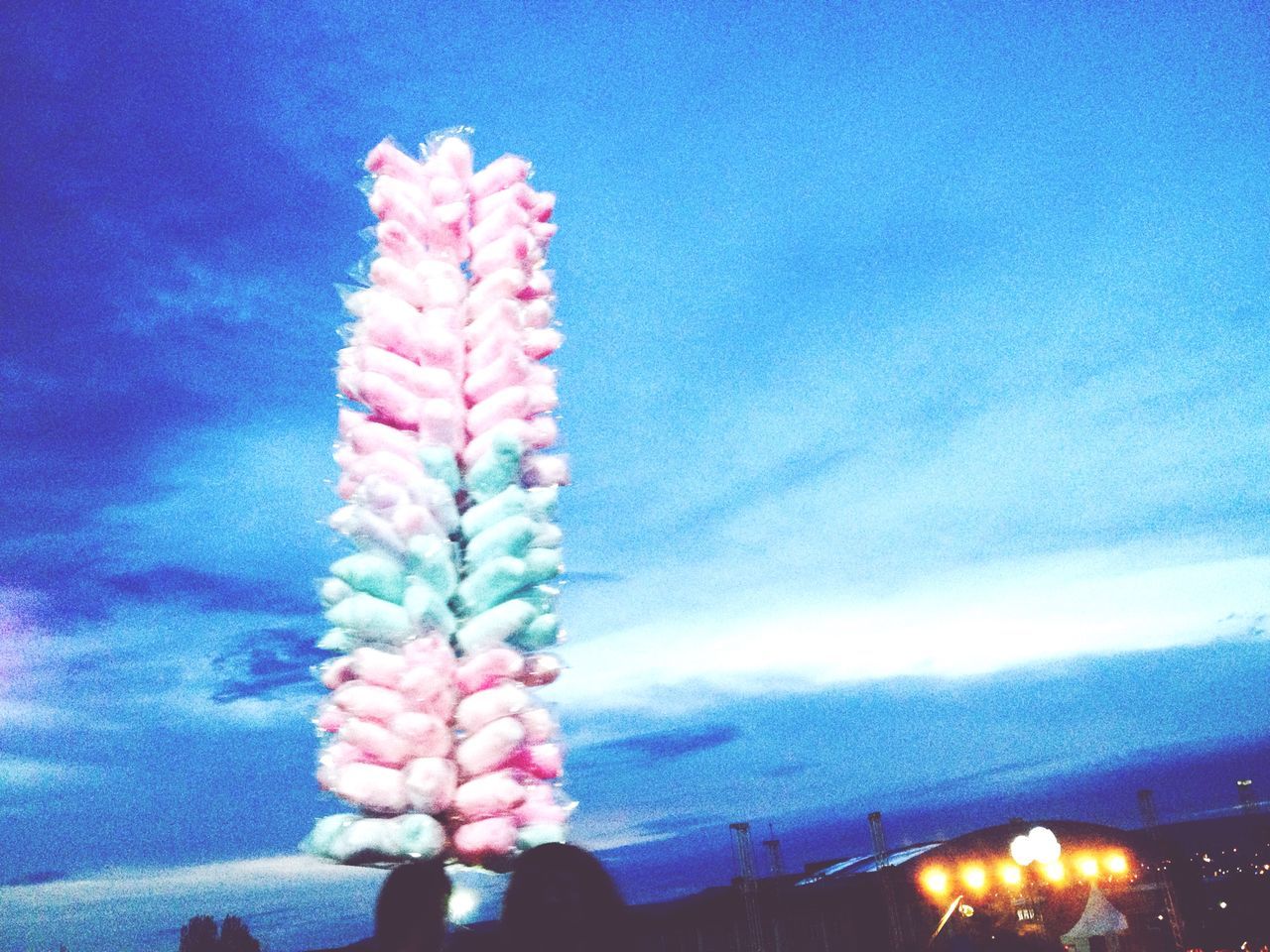 sky, flower, low angle view, blue, cloud - sky, beauty in nature, nature, cloud, fragility, built structure, pink color, building exterior, no people, outdoors, architecture, day, freshness, growth, plant, dusk