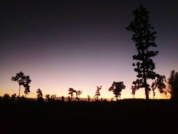 Silhouette trees on field against sky during sunset