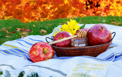 Apples and honey dipper with basket on picnic blanket