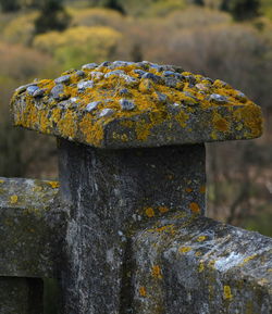 Close-up of rusty metal