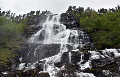 Scenic view of waterfall in forest