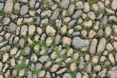 Full frame shot of stone wall