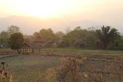 Scenic view of agricultural field against sky during sunset