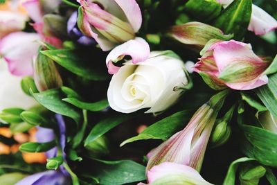 Close-up of pink rose bouquet