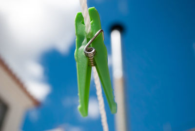 Close-up of insect on leaf