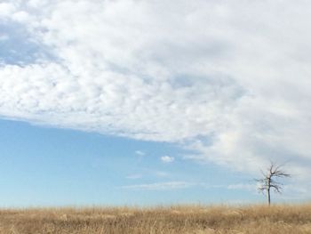 Scenic view of field against cloudy sky