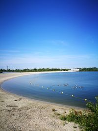 Scenic view of landscape against clear blue sky