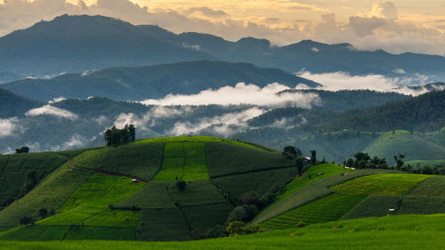 Scenic view of agricultural field against mountains