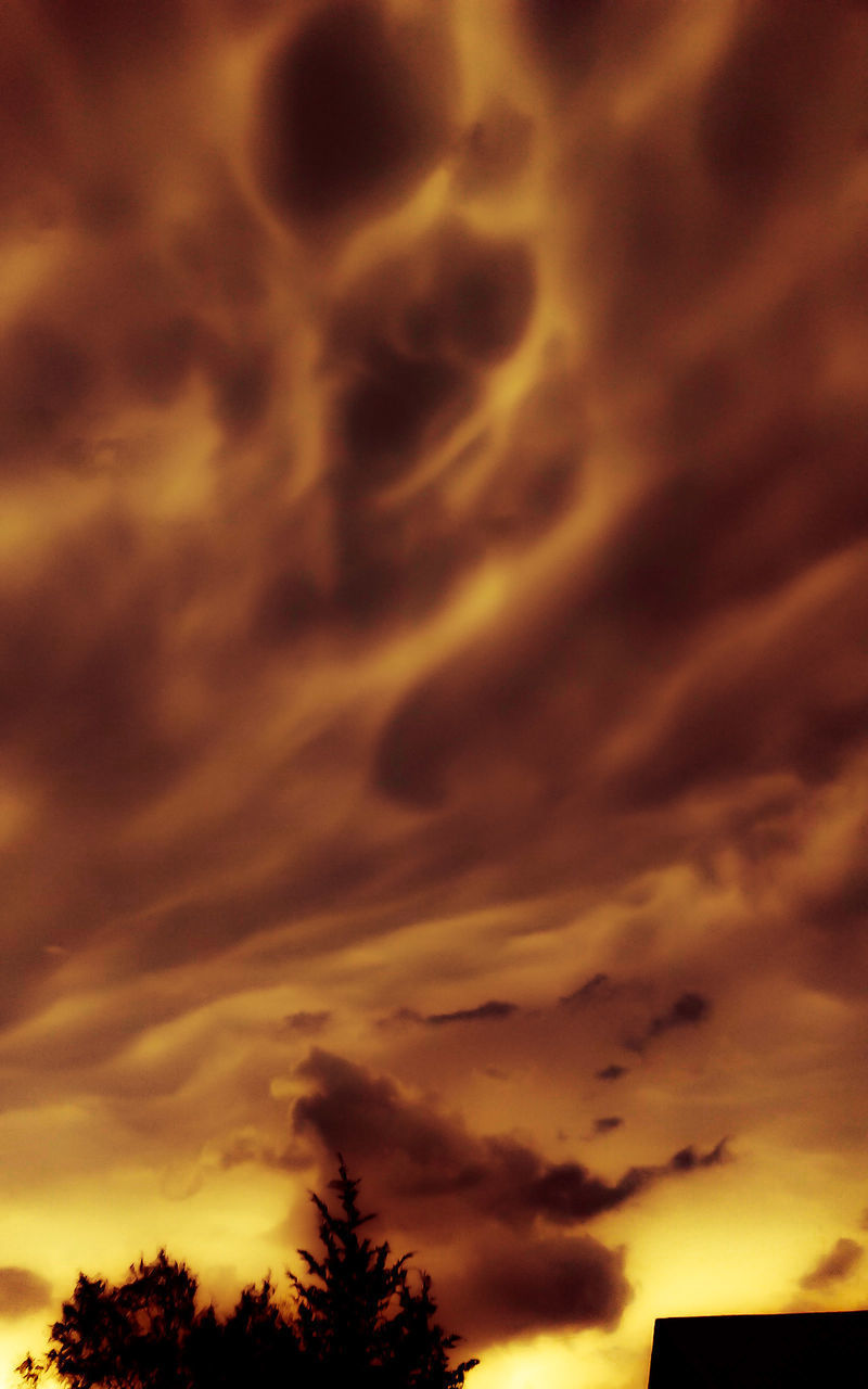 LOW ANGLE VIEW OF SILHOUETTE TREES AGAINST DRAMATIC SKY