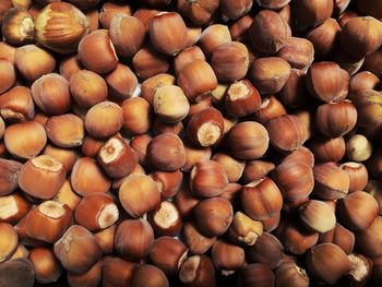 Full frame shot of hazelnuts. 