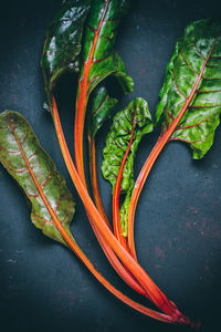 High angle view of leafy vegetables on table