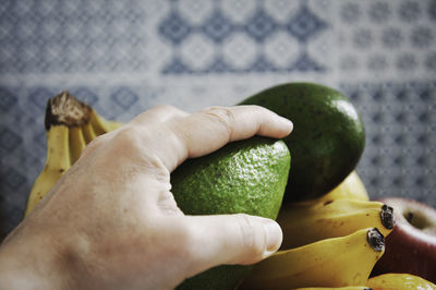 Cropped hand holding avocado