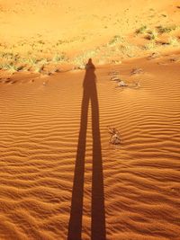 Shadow of person standing on sand in desert