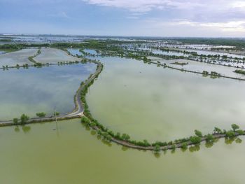 Aerial shot on mangrove ponds in mengare gresik east java indonesia